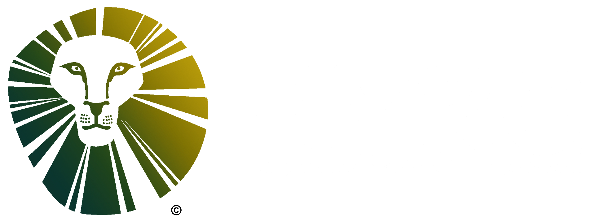 KYRO Foundation